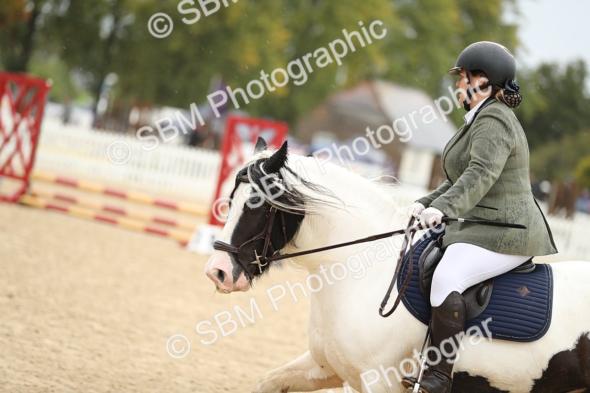 SBM_34424 - J60 Clear Round 50cm