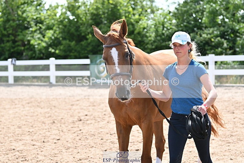 240717A-154114-02979 - Trot Up 3pm to 4pm