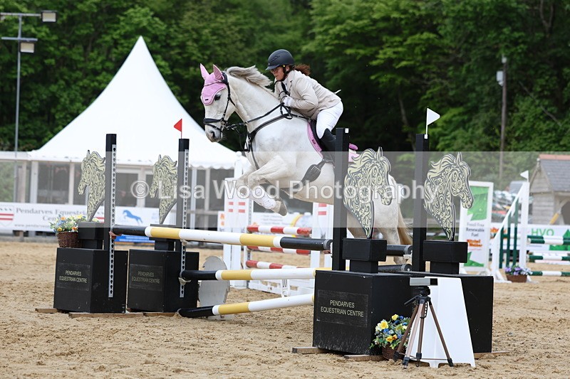3E7A6279 - Class 4: Senior British Novice/90cm open