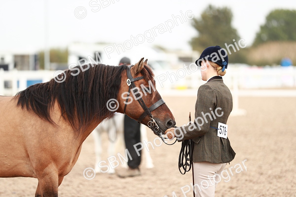 SBM_12499 - Class 207 IH M&M