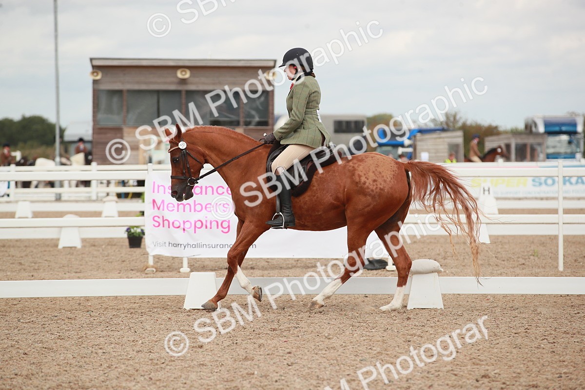 SBM_06002 - Class 32 - Novice 1