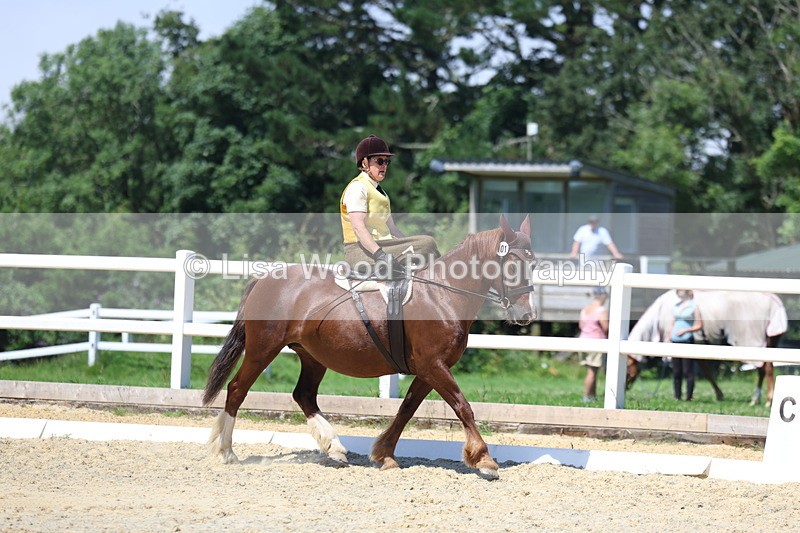3E7A1751 - Class 5: Unaffiliated Prelim Freestyle to Music