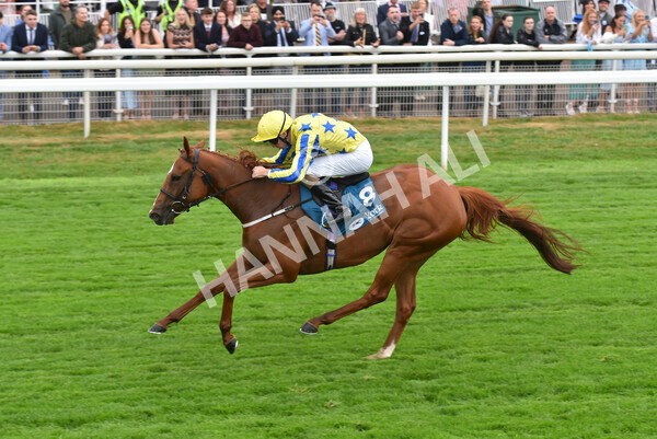 yr22072022r3-65 - Race 3 6.20pm Tomahawk Stakes