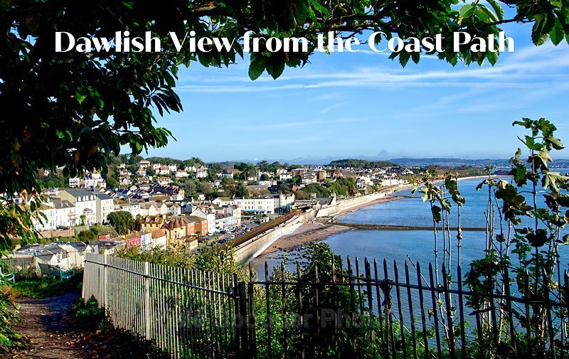 NEW - View of Dawlish from the Coast path - FRIDGE MAGNETS