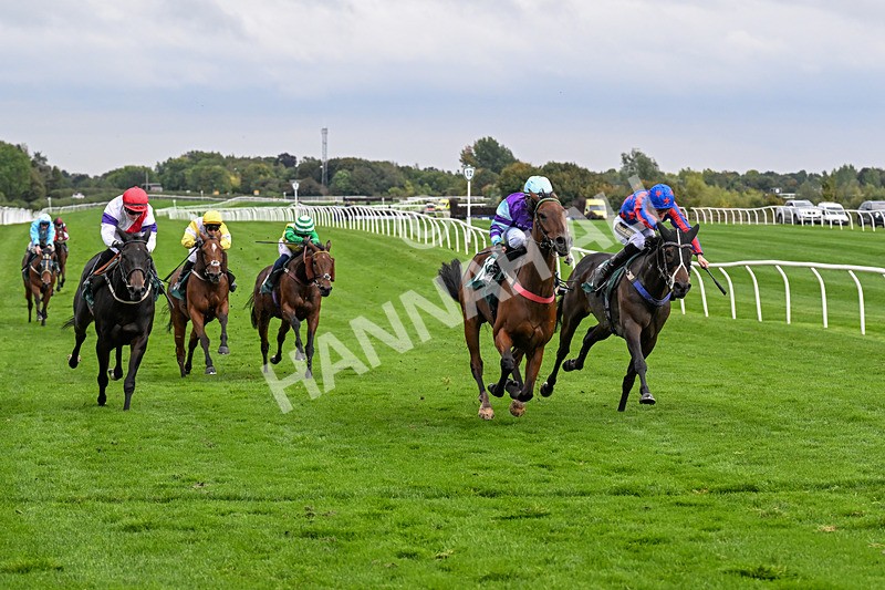 011025-Race 5-Blue Jay Way-0482 - Race 5