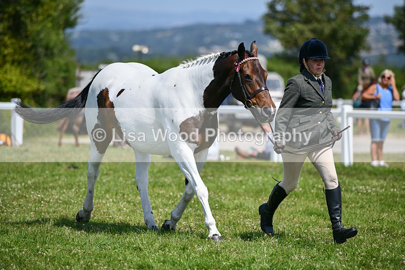 DSC_7869 - Class 65: Coloured Horse 4yrs & Over
