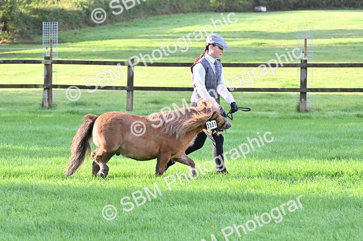 SBM_32572 - S15 - Top Turnout In Hand