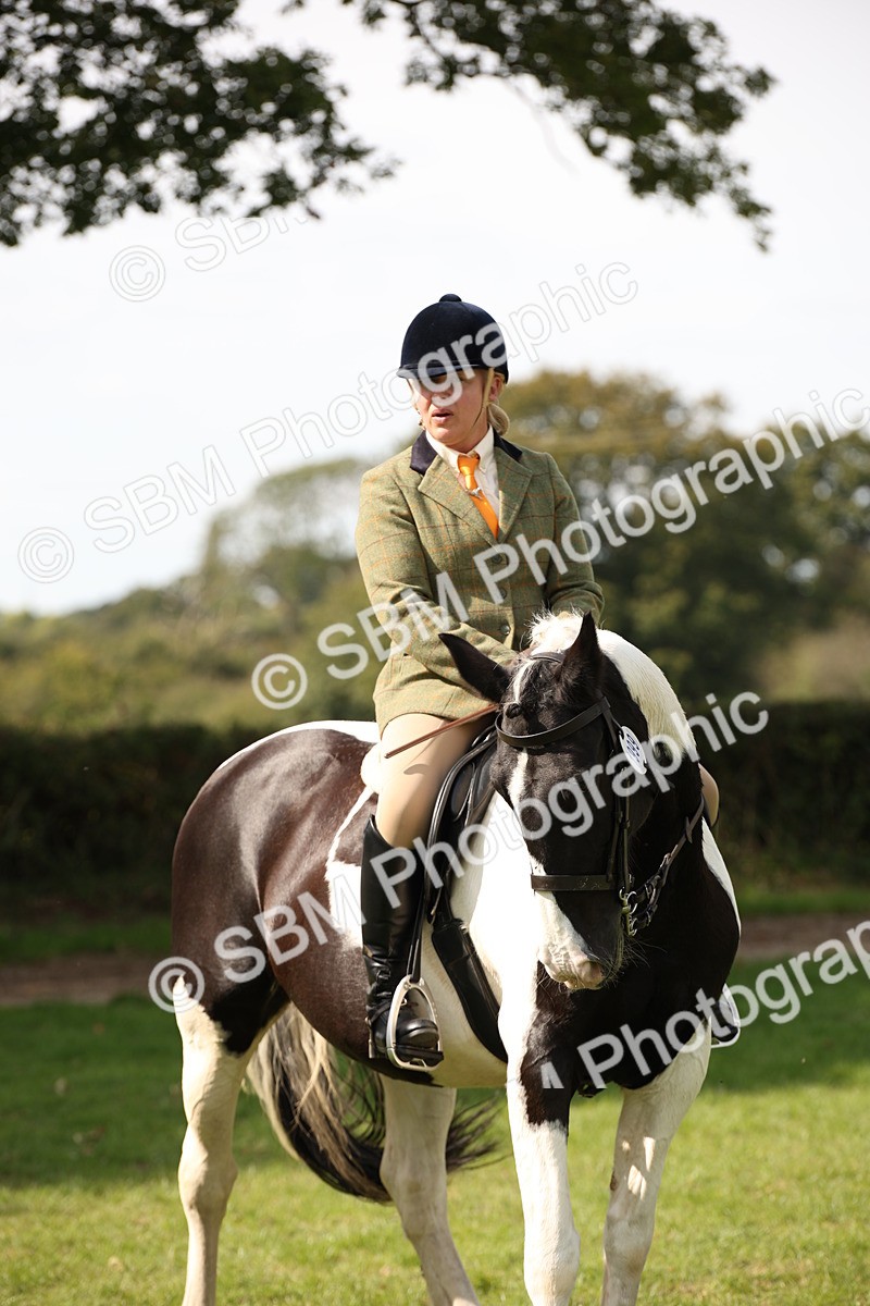 SBM_70109 - S65 - Piebald & Skewbald Horse Ridden