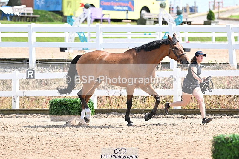 240717A-152301-02799 - Trot Up 3pm to 4pm