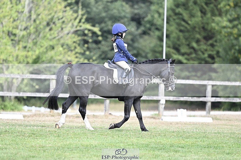 250821A-104104-14471 - DR 10.00 to 11.00