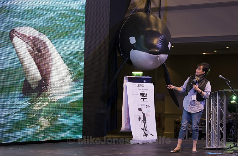 Dr Barbara Maas (Maui dolphins) at Whalefest REF CSBM10 - The celebrity speakers from Whalefest 2014 in Brighton