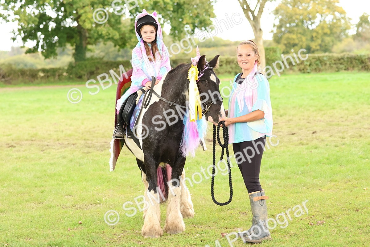 SBM_62234 - S37b - Best Unicorn