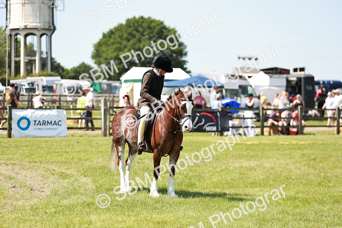 SBM_15534 - Class 108-109 - BSPS LIHS Open Gradle & Nursery Stakes