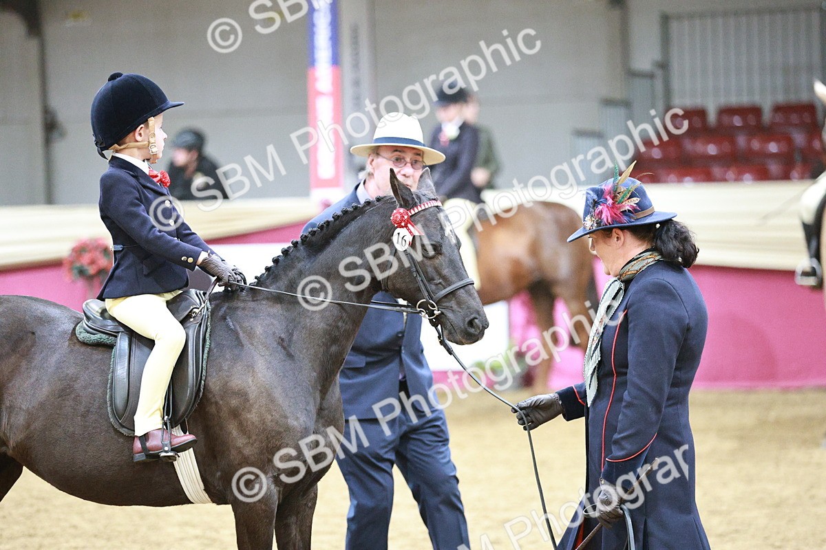 SBM_03377 - Class 6A Area Ridden Pre-Vet