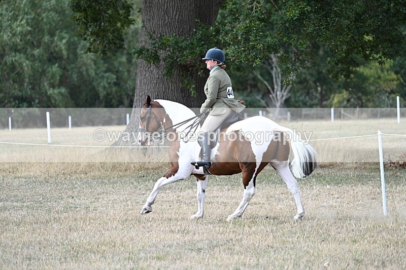 WJ7_7309 - Class 14 Ridden Coloured