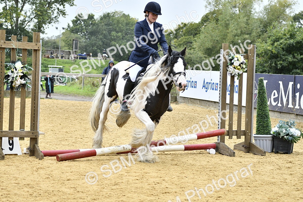 SBM_70750 - J3 - Mini Tour Junior Pony 40cm championship