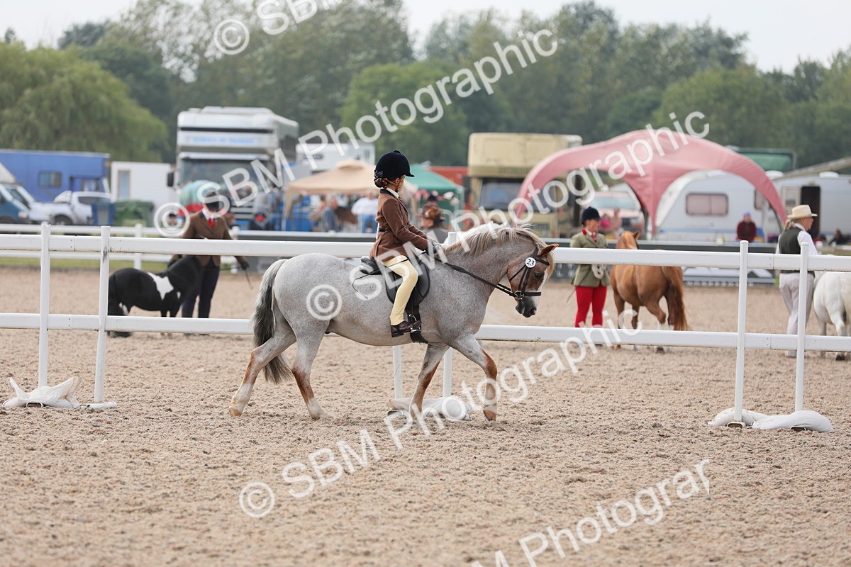 SBM_12649 - Class 307 Ridden Coloured Pony