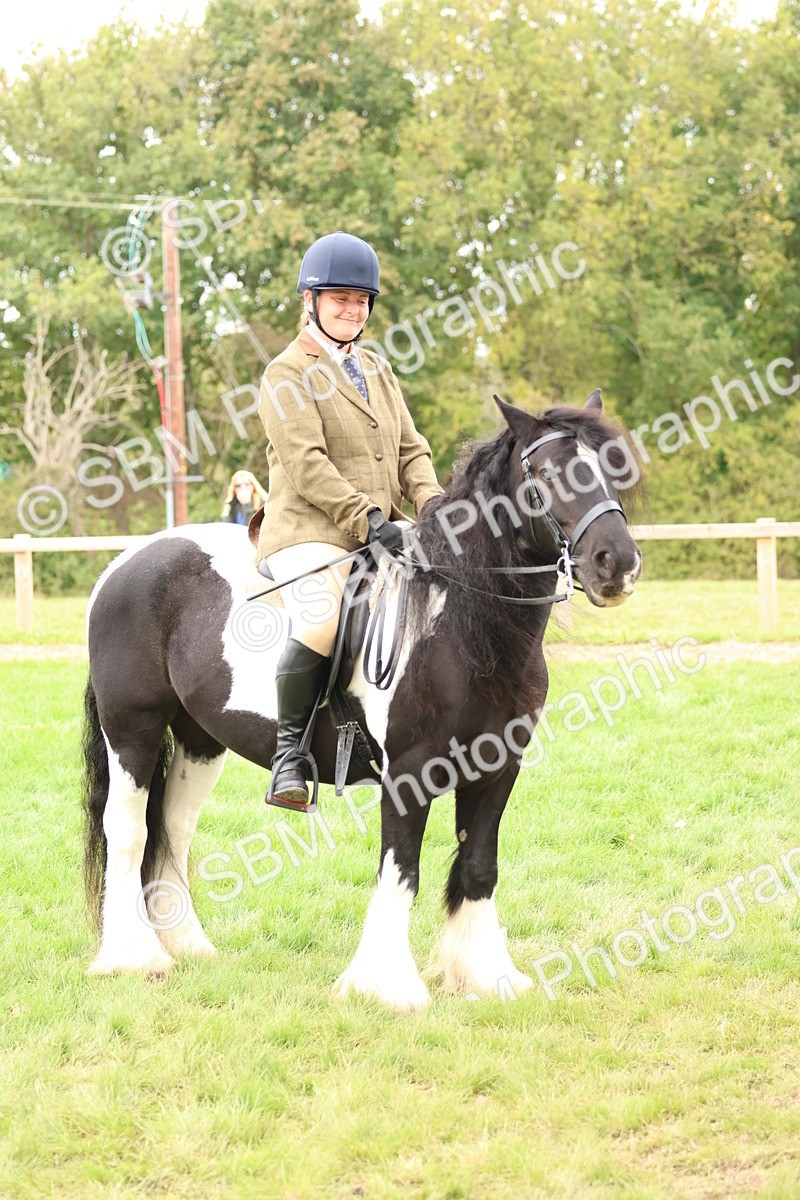 SBM_64575 - S58 - Coloured Pony Ridden