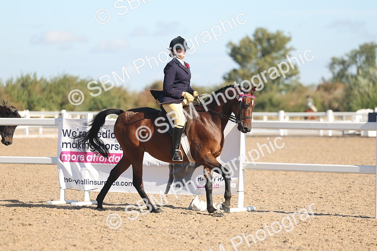 SBM_12309 - Class 304 - Ridden part Bred Horse Pony
