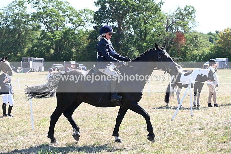 WJ6_8281 - Class 37a Best Loan Pony Ridden