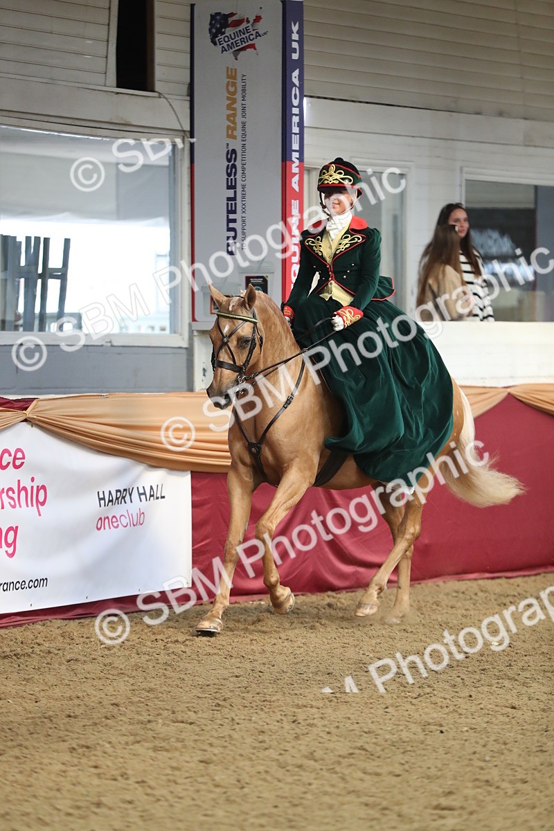 SBM_11585 - Class 105 Ridden Costume- Side Saddle