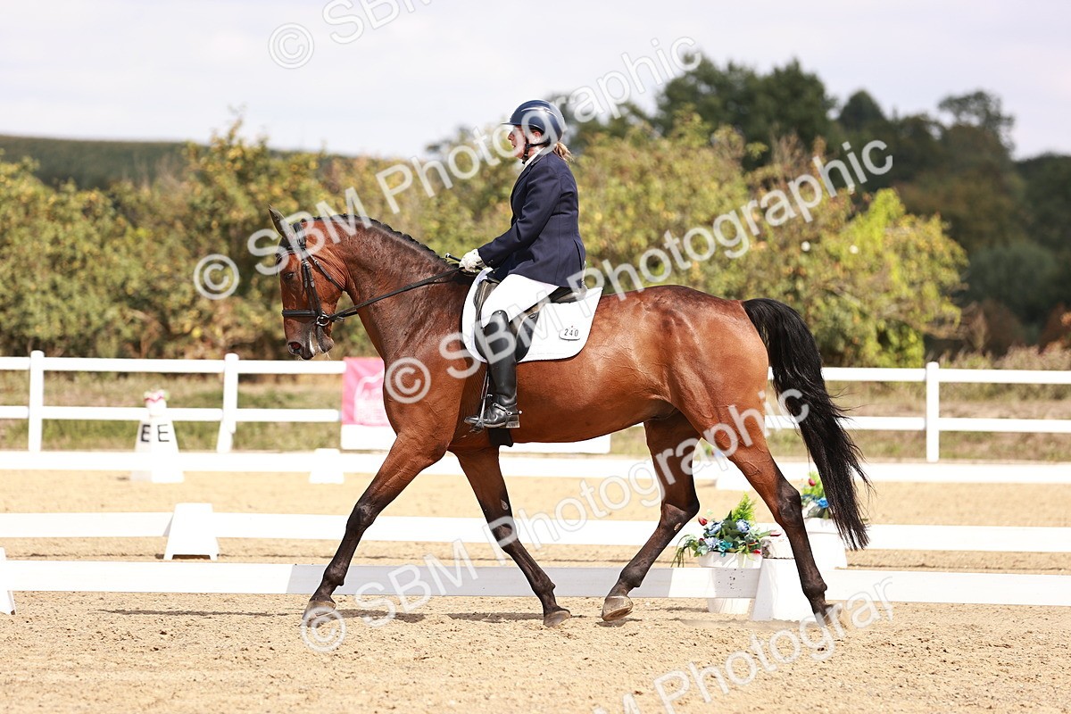 SBM_018510 - Class 17 - Novice 6