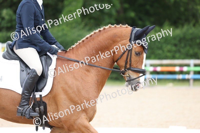 20250604-0458 - Class 3 - Novice 5