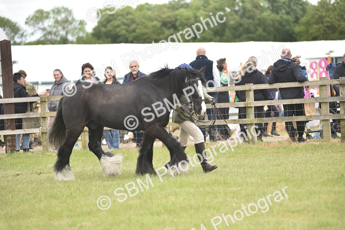 SBM_15979 - Class 117-122 - SSADL RIHS Qualifier