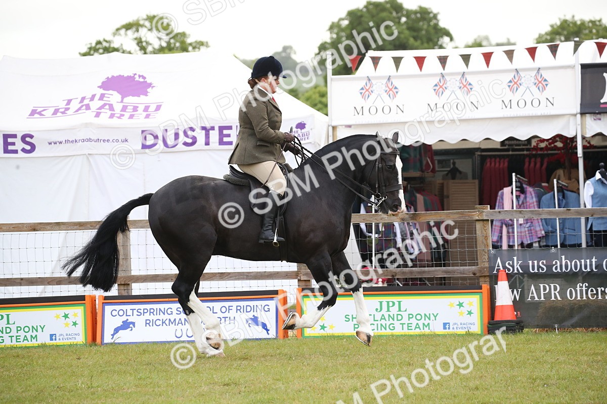 SBM_11060 - Class 92-93 - LIHS BSHA Rising Star Cobs