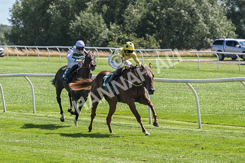 050825-Race 1-Reverberate-5028 - Race 1