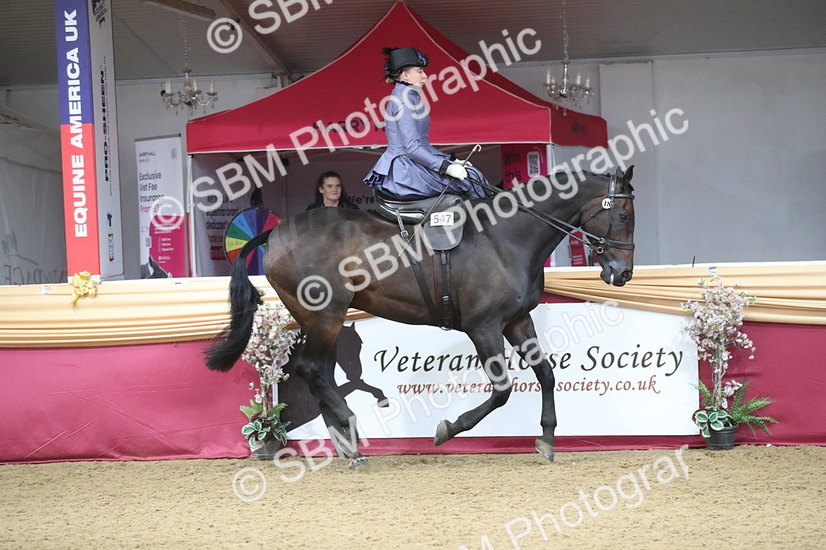 SBM_11545 - Class 105 Ridden Costume- Side Saddle