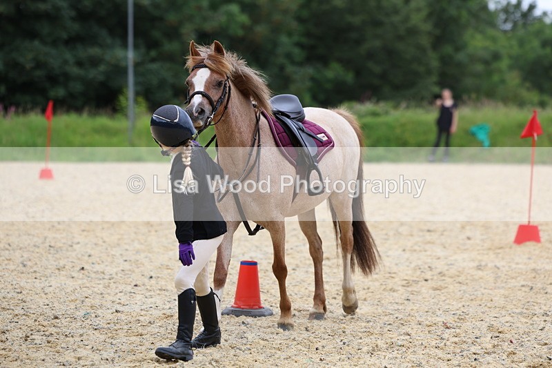 3E7A9457 - Walk trot run