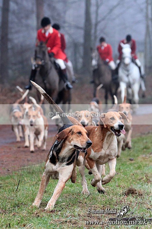 HUPY 261224 329a - Pytchley with Woodland Hunt Boxing Day Meet 26th December 2024
