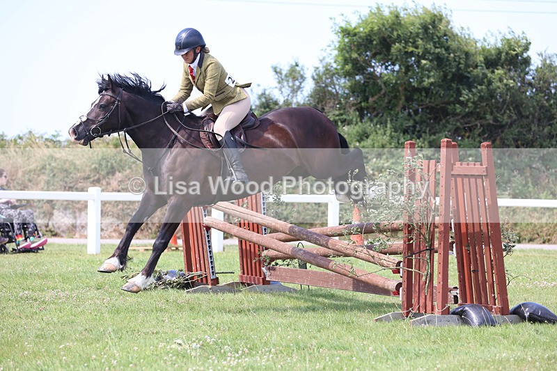 JPP_3564 - Class 23: Working Hunter 80cm