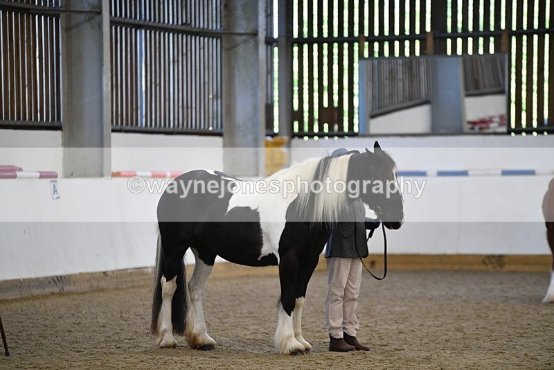 WJ5_5451 - Class 8 In hand cob