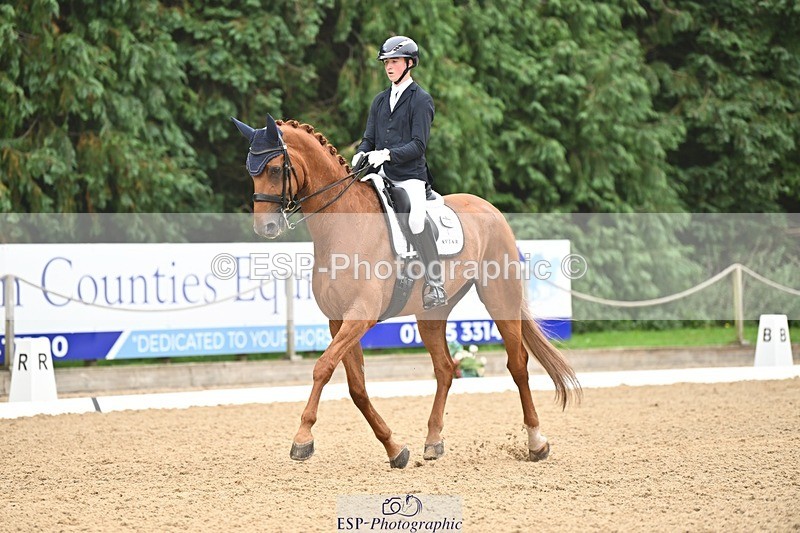 240811-113251-05198 - 208-Tom.Carter-Rubin.Regal