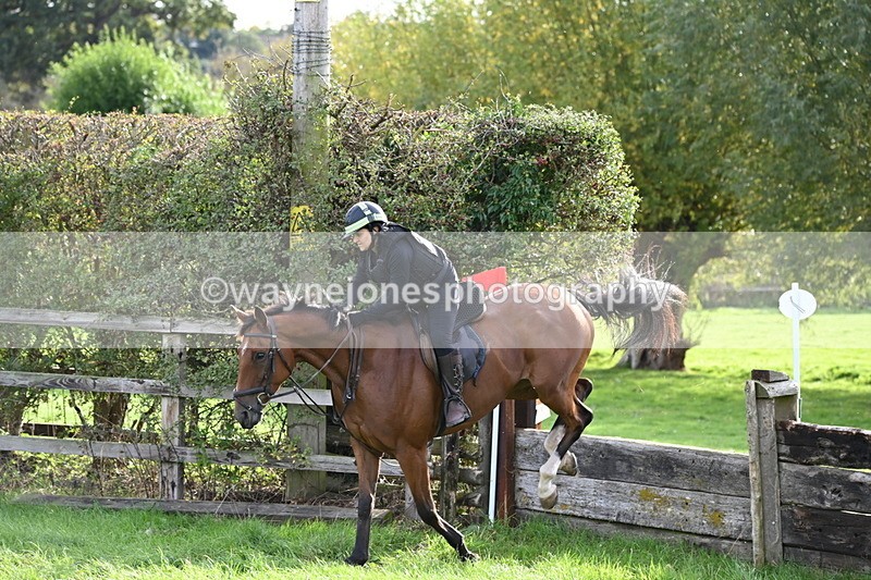 WJ6_4746 - Time 15:01 to 15:34