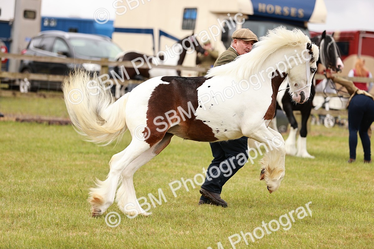 SBM_04574 - Class 5-8 - BSPA In hand