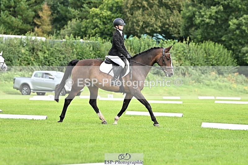 230826-095306-16261 - Sections A & B - 9 to 10am