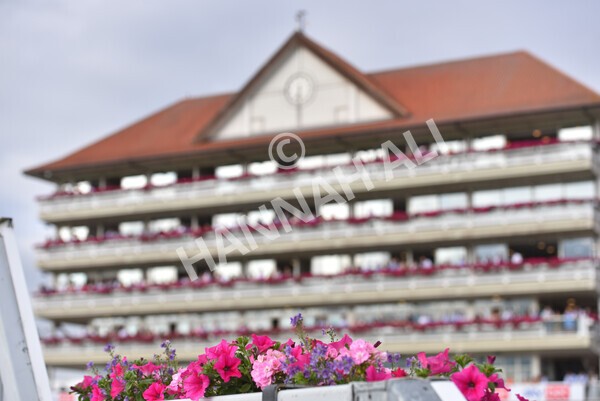 yr23072021r2-16 - Race 2 6.30pm IRE-Incentive It Pays To Buy Irish Stakes