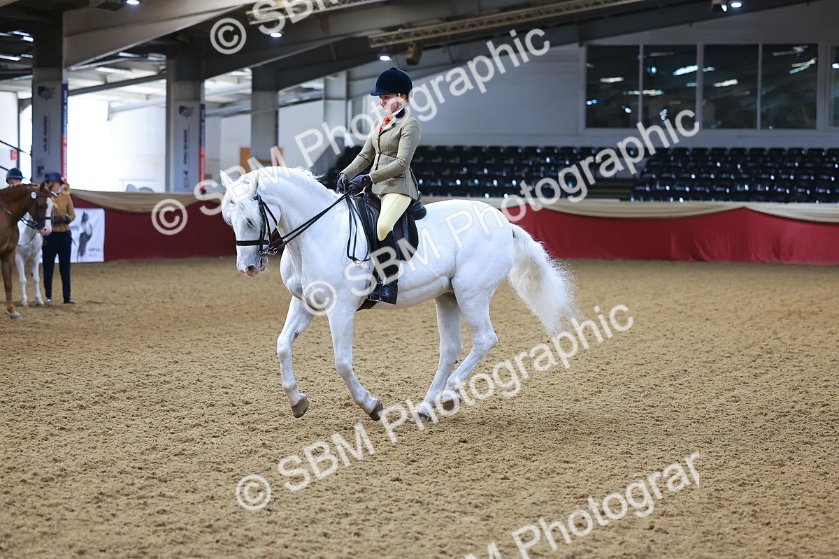 SBM_07673 - Class 101 - HOYS Veteran Qualifier - Ridden Diamond