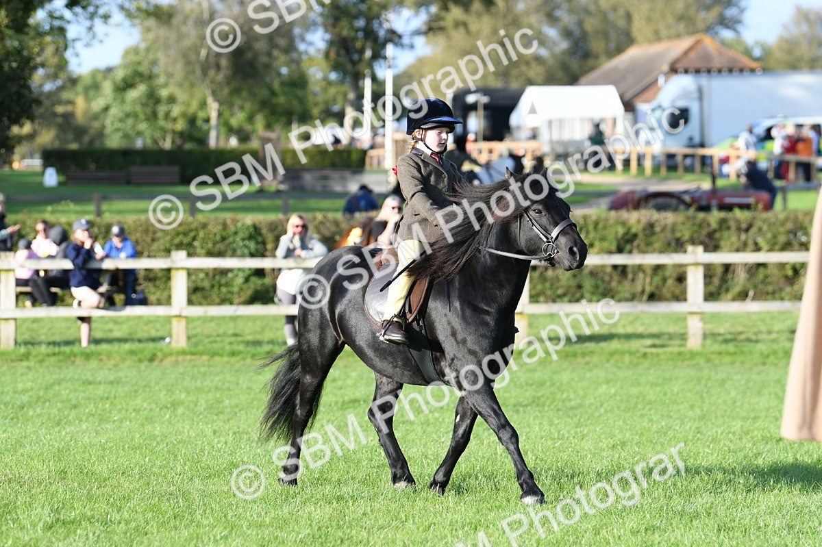 SBM_54067 - S23 - 1st Ridden Mountain & Moorland Pony
