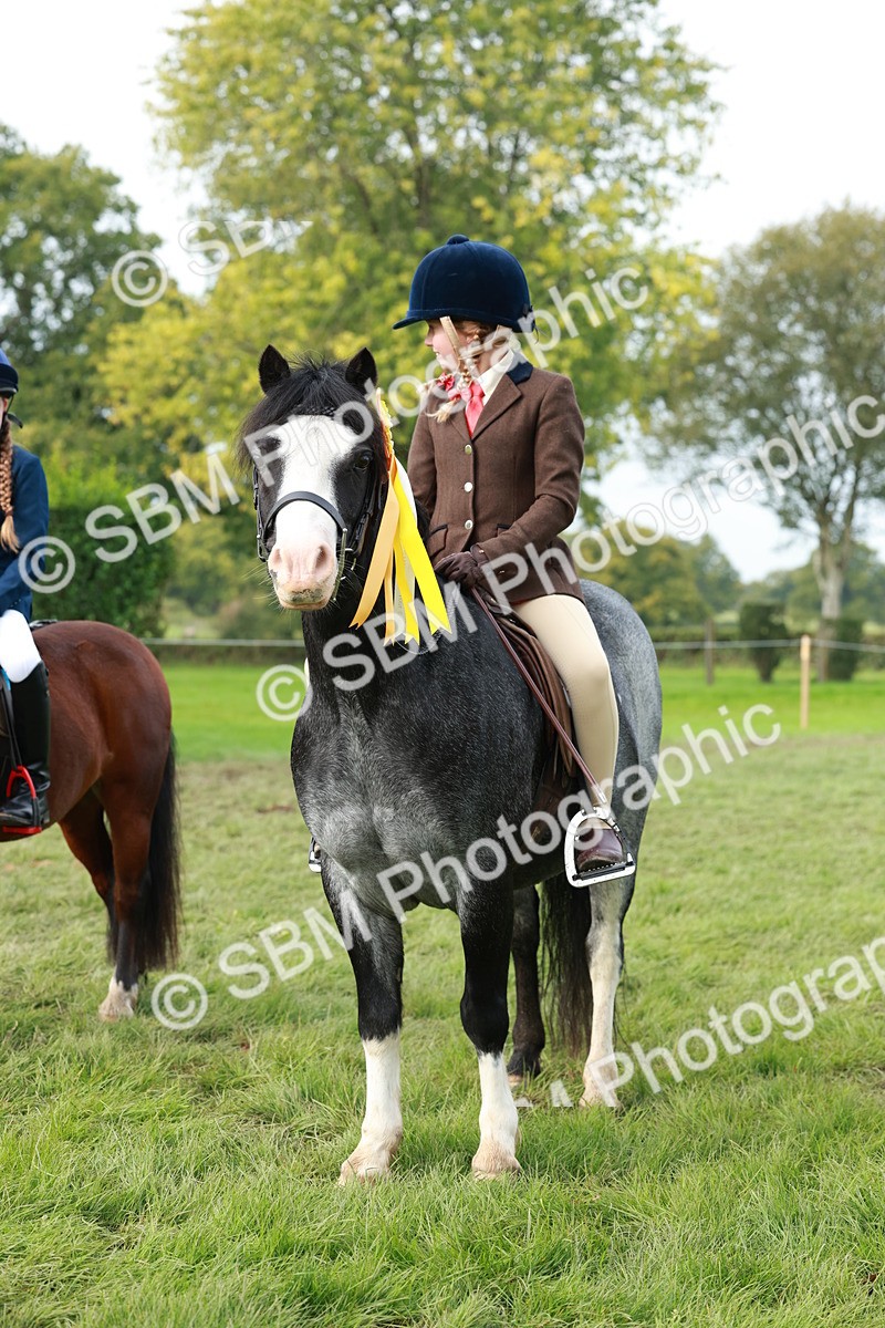 SBM_56473 - S39 - Starters In Hand Showing