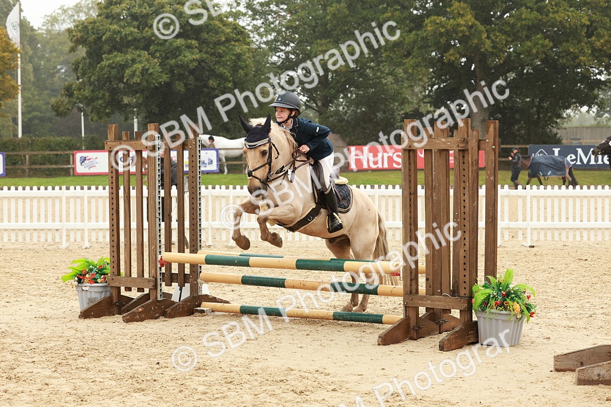 SBM_73298 - Supreme Championship Junior Pony 60cm & 65cm
