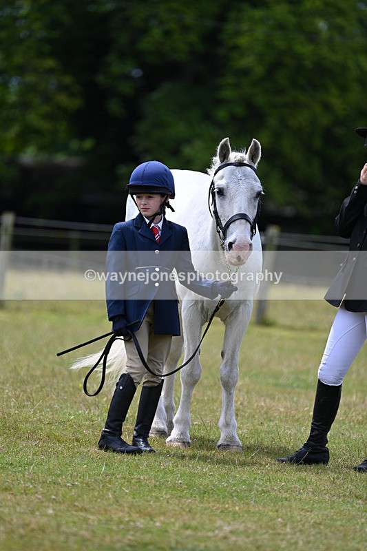 WJ7_6650 - Class 5 Handsome Gelding in hand