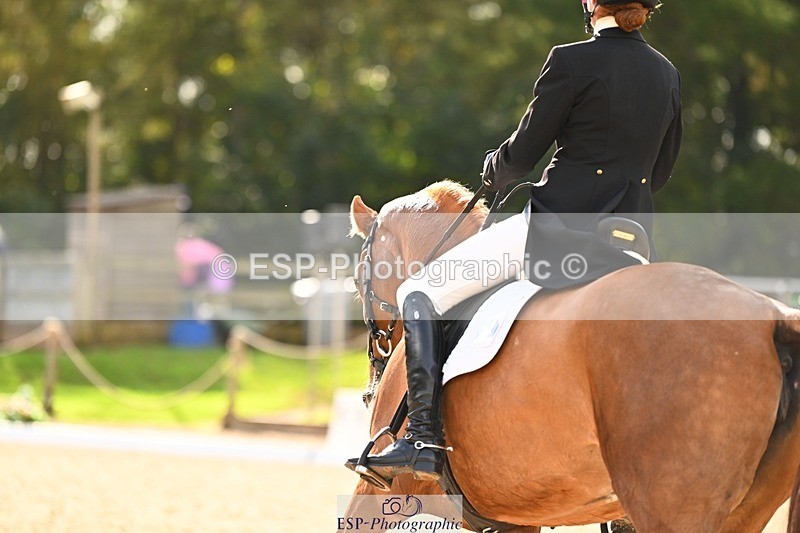 231020-144020-10013 - 309-CROSSTOWN.FINTANS.LAST-Catherine.Burrell-DR