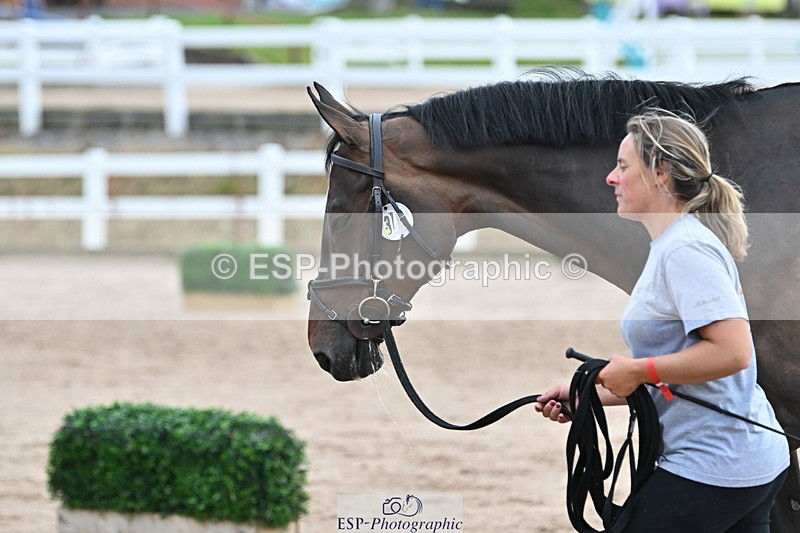 240717A-143220-02116 - Trot Up 2pm to 3pm - This folder is not in time order