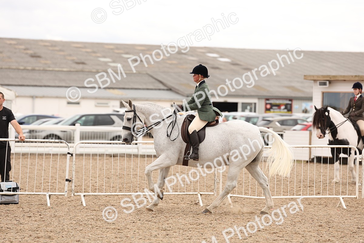 SBM_19566 - Class 215 - Ridden Show cob