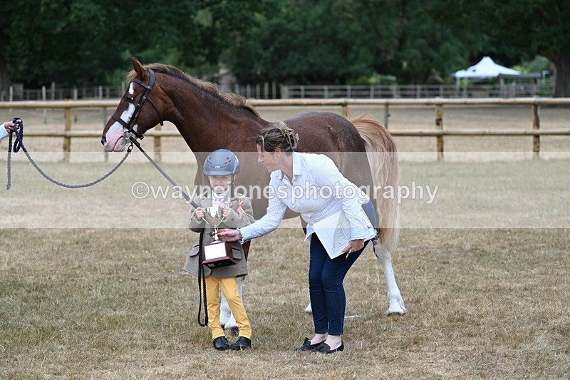 WJ7_9361 - Prettiest Mare Champs
