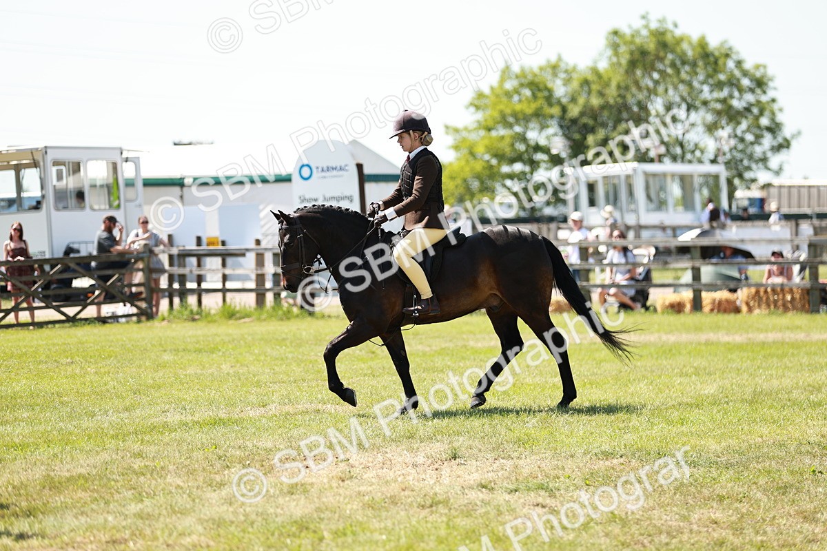 SBM_17653 - Class 112-113 - BSPS LIHS Working Sports Pony